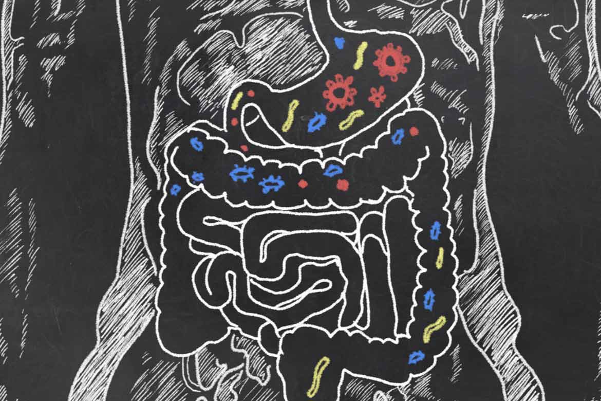 microbiota-e-microbioma-2