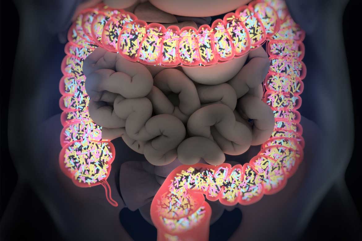 microbiota-intestino