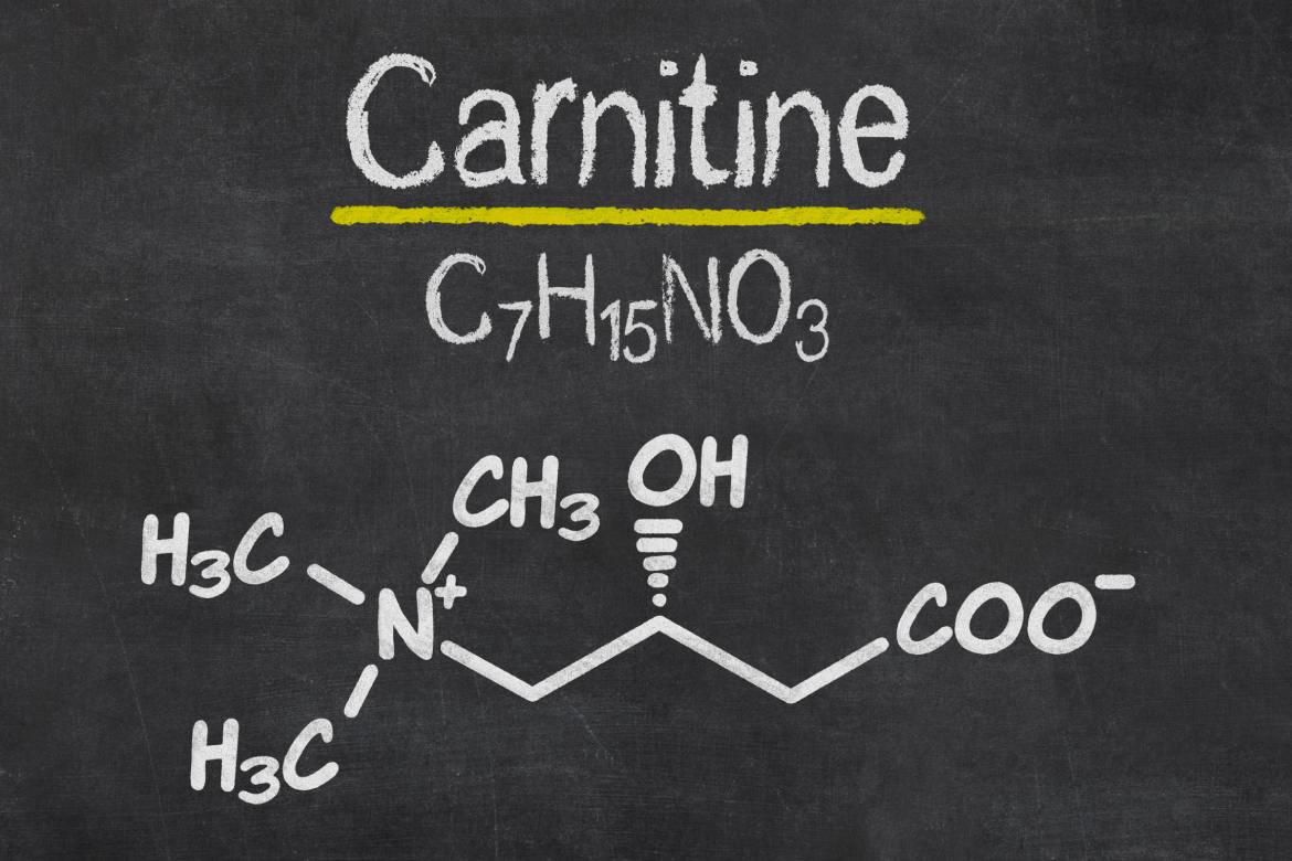 Cos'è la carnitina e a cosa serve